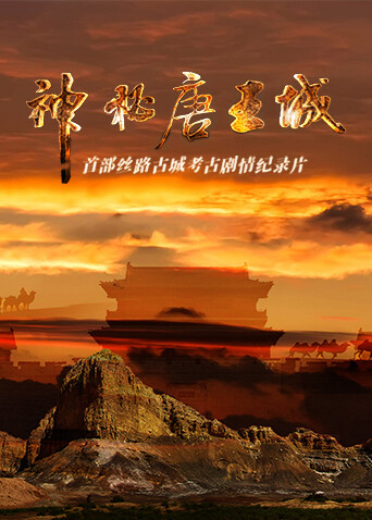 神秘唐王城封面图