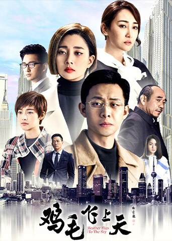 鸡毛飞上天封面图