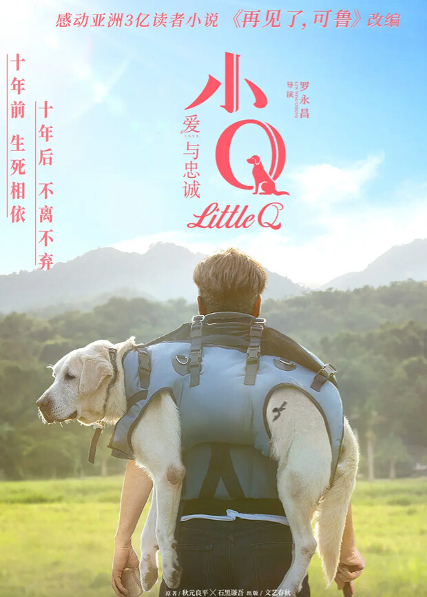 小Q封面图
