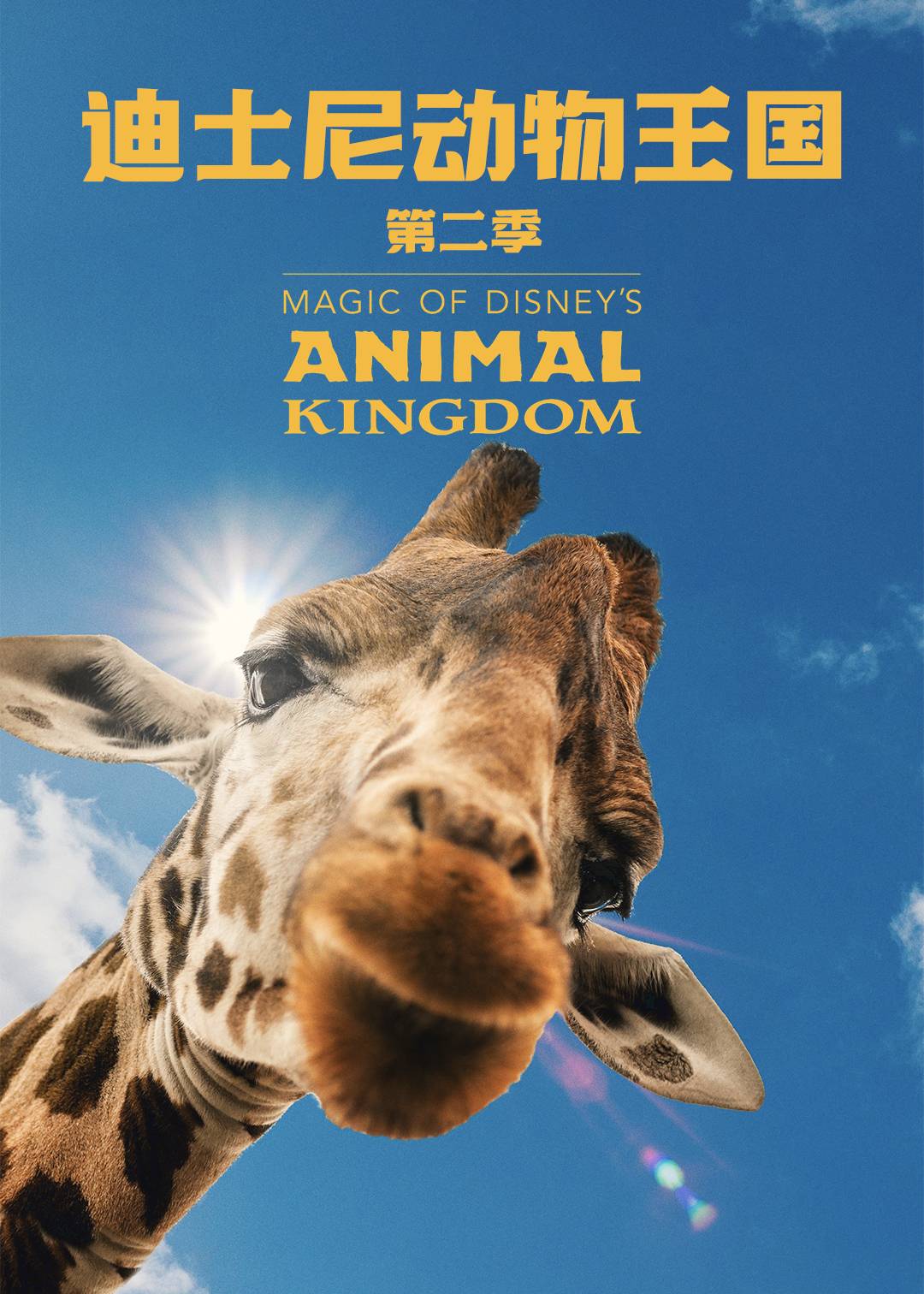 迪士尼动物王国 第二季封面图