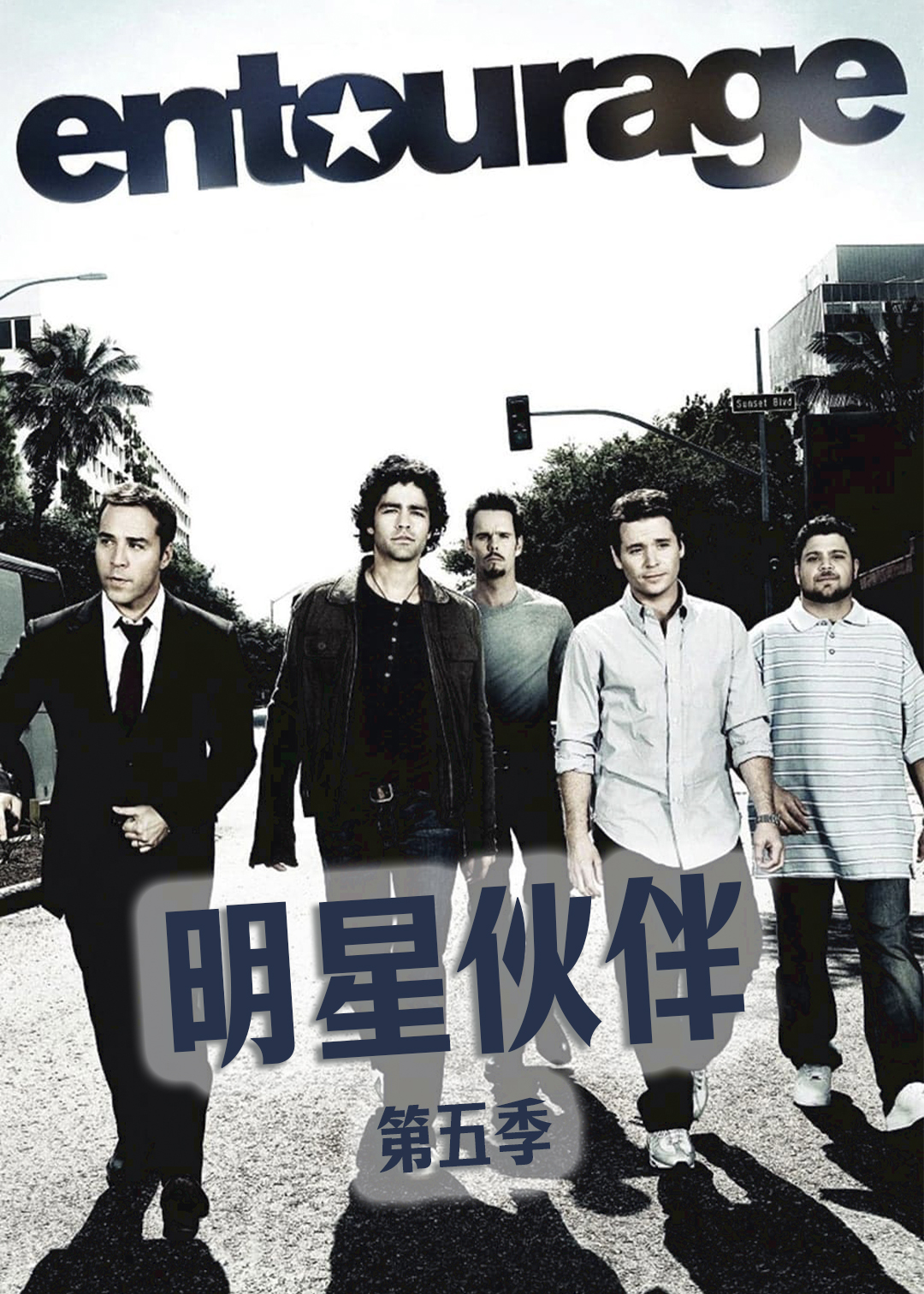 明星伙伴 第五季封面图