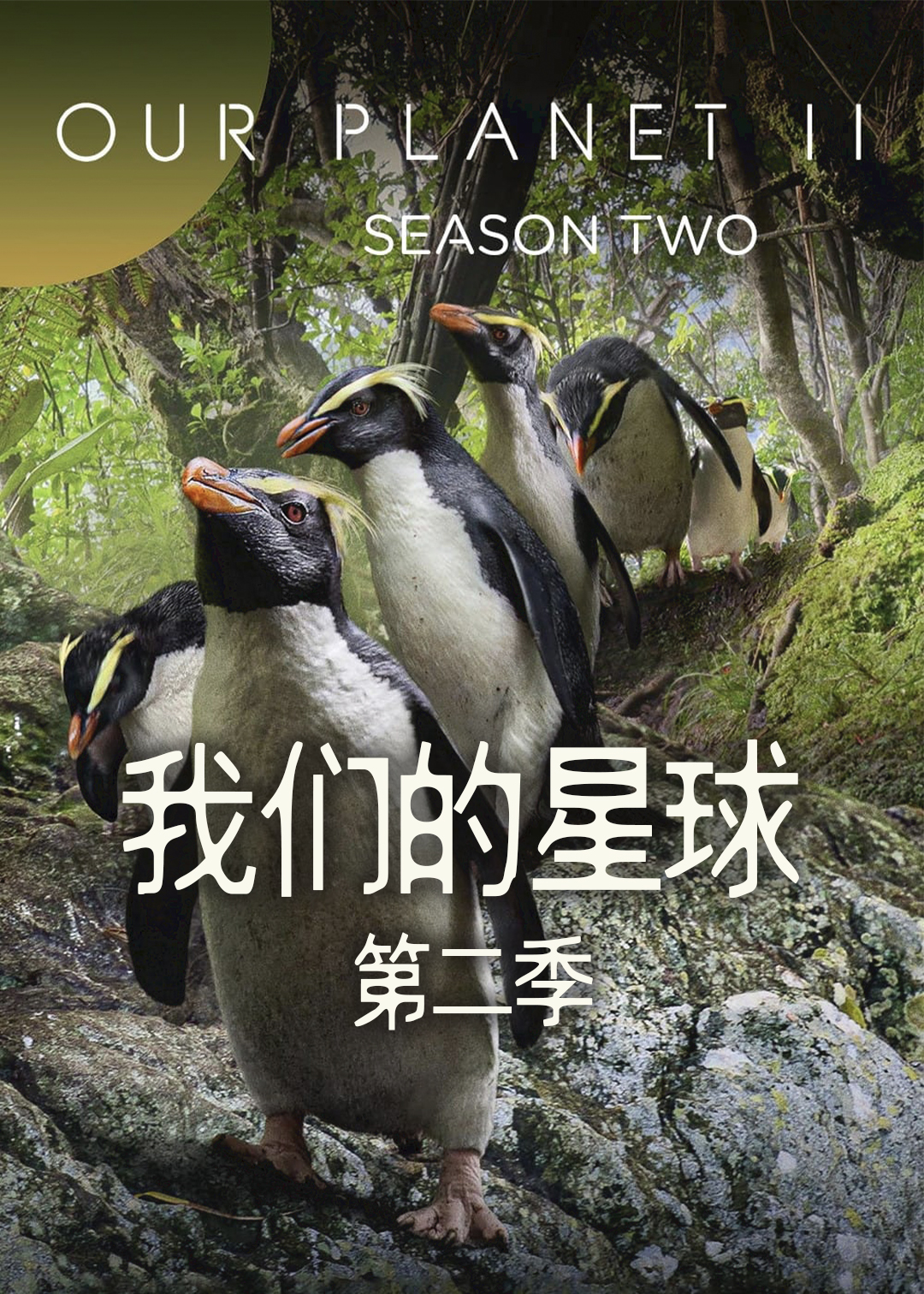 我们的星球 第二季封面图