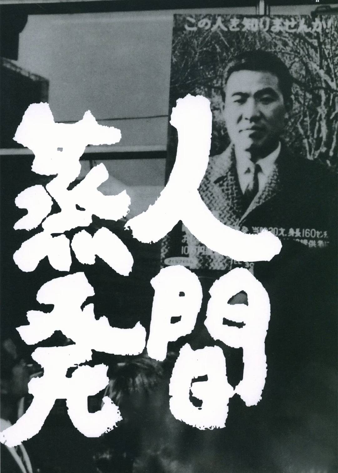 人间蒸发封面图