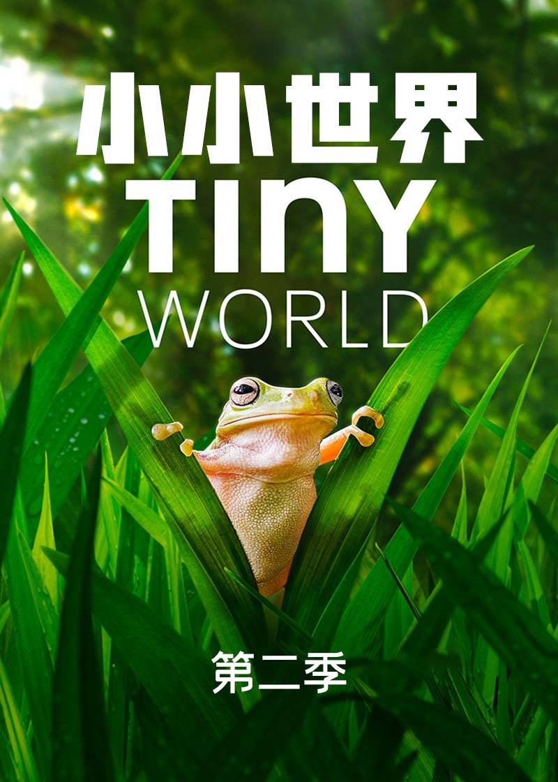 小小世界 第二季封面图