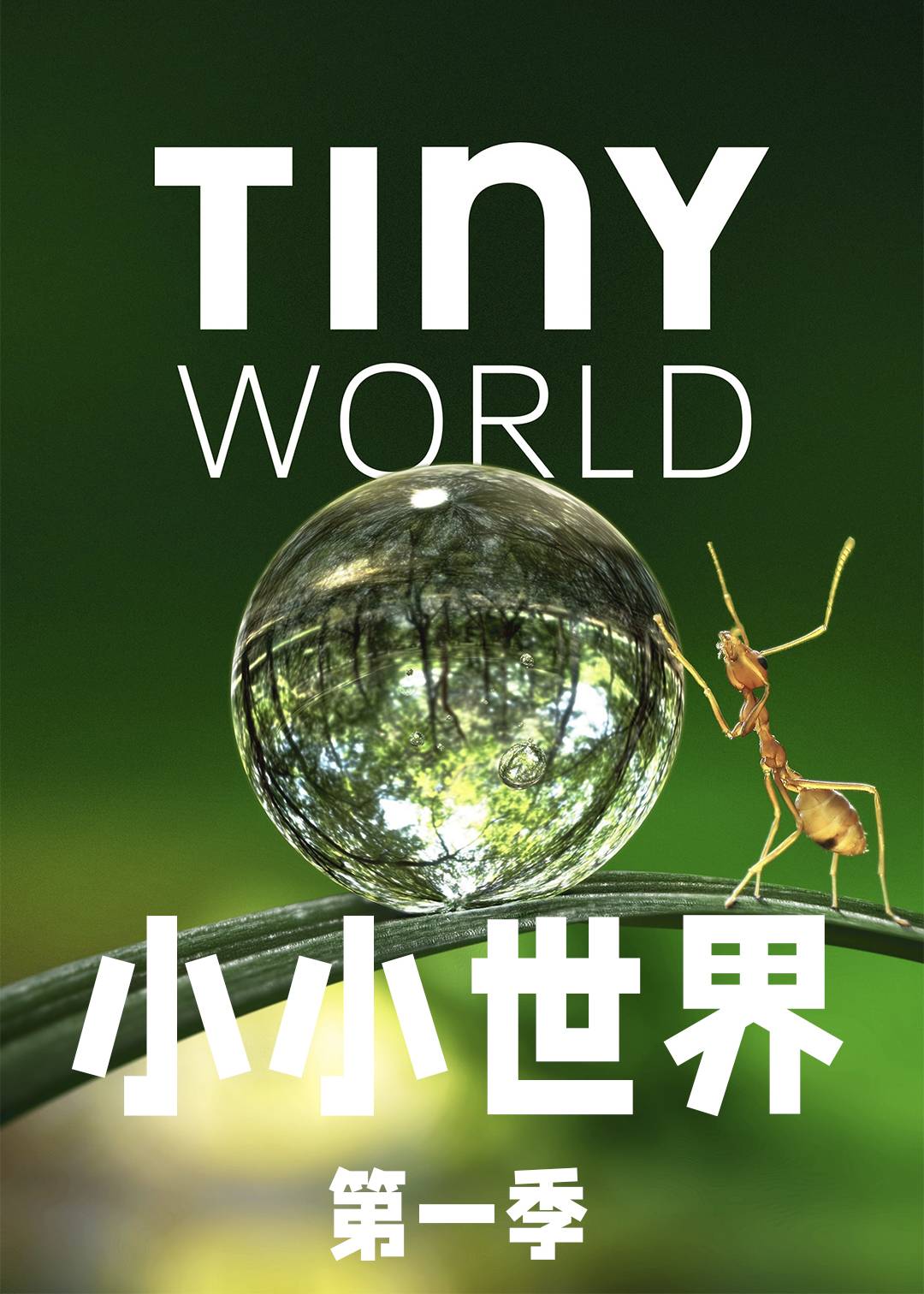 小小世界封面图