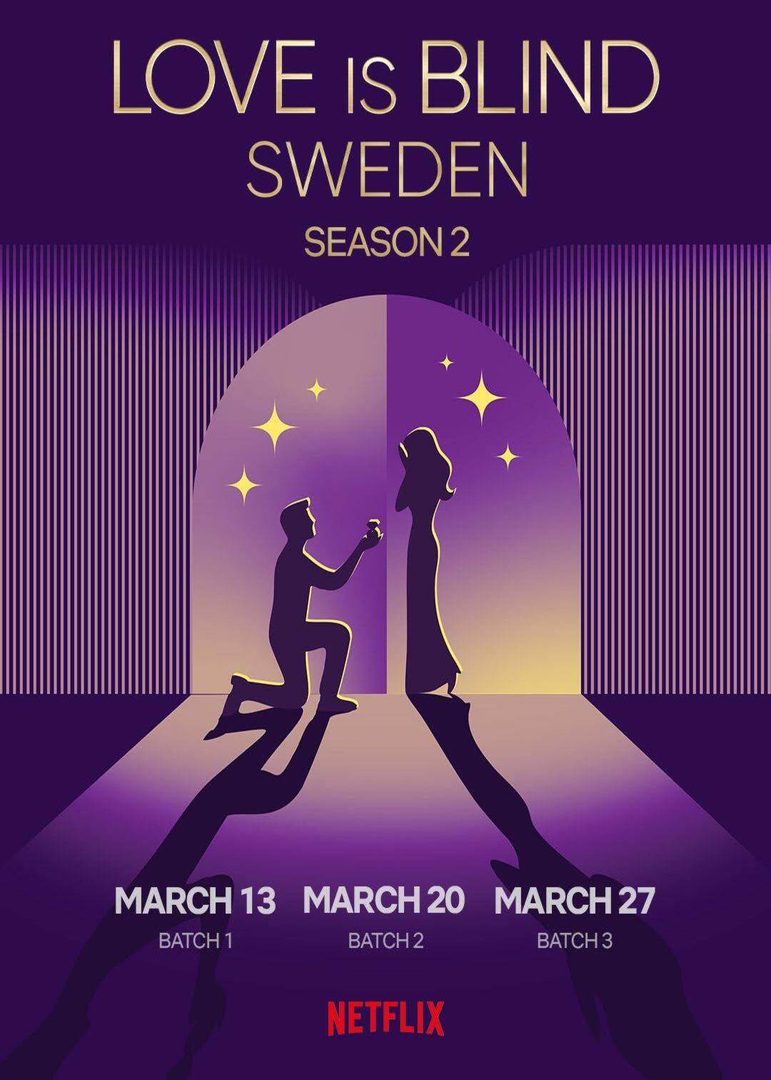 爱情盲选:瑞典篇 第二季封面图