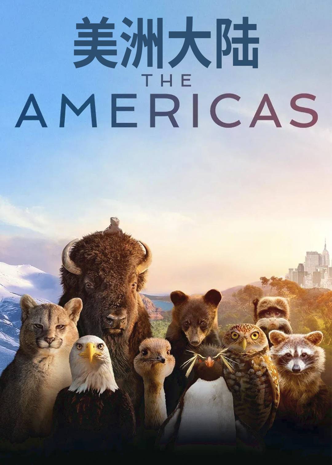 美洲大陆封面图