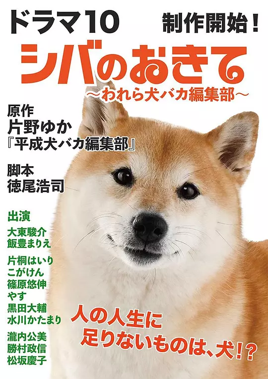 柴犬的规矩～我们这群狗痴编辑部～封面图