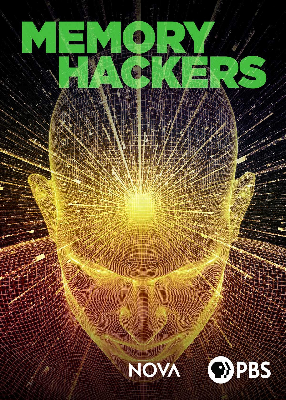 记忆黑客封面图