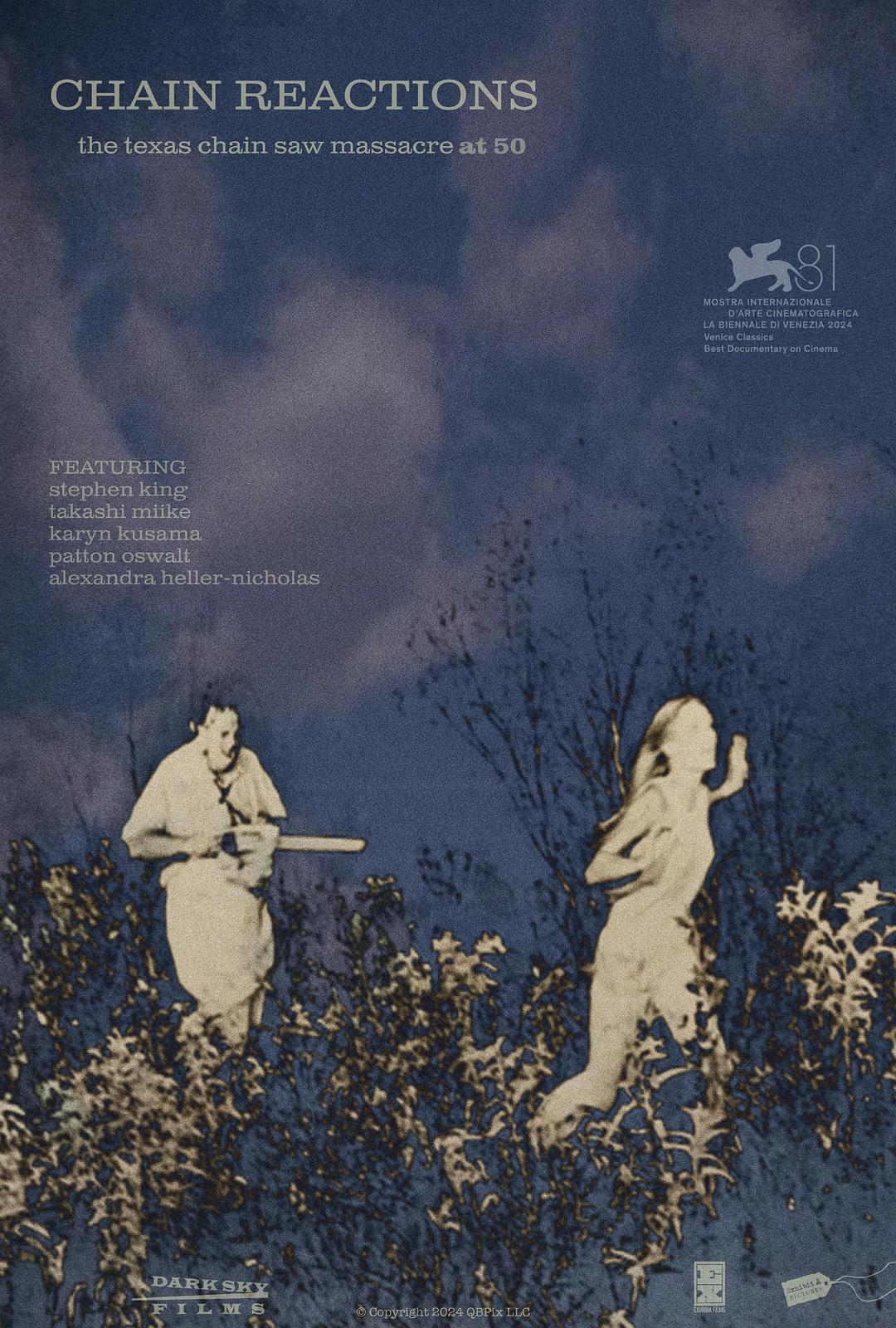 德州电锯后遗症封面图