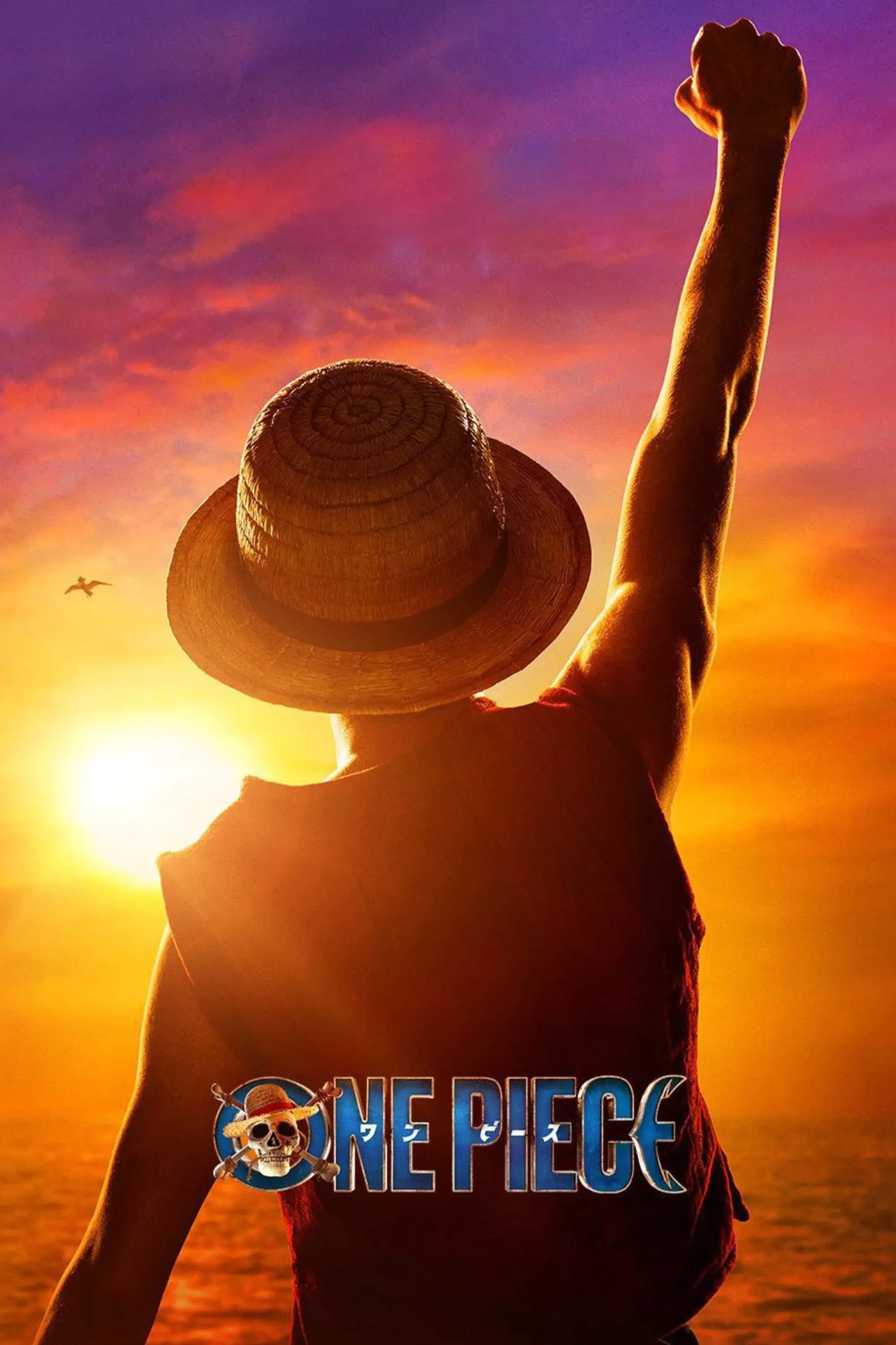 海贼王真人版 日语版配音 第二季封面图