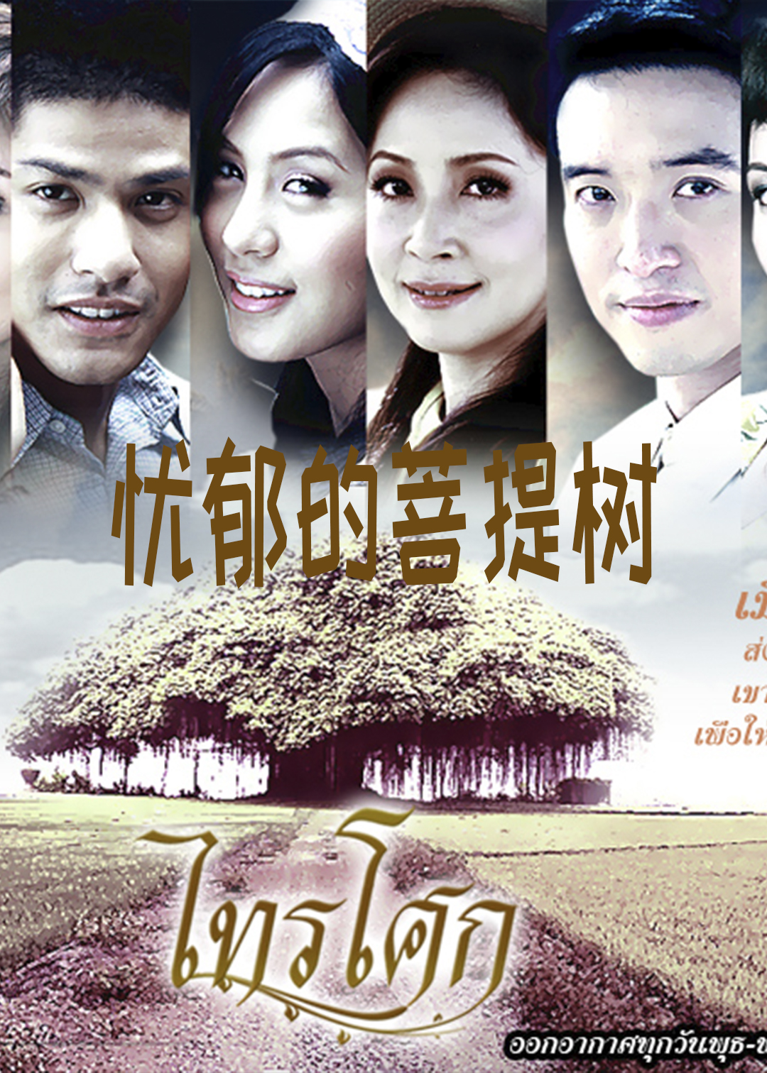 忧郁的菩提树封面图