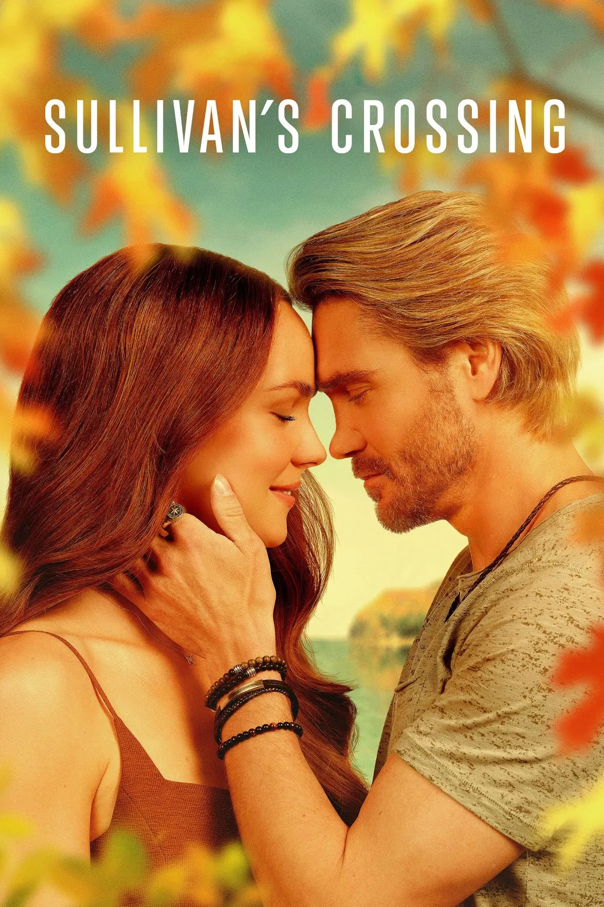 苏利文的十字路口 第四季封面图