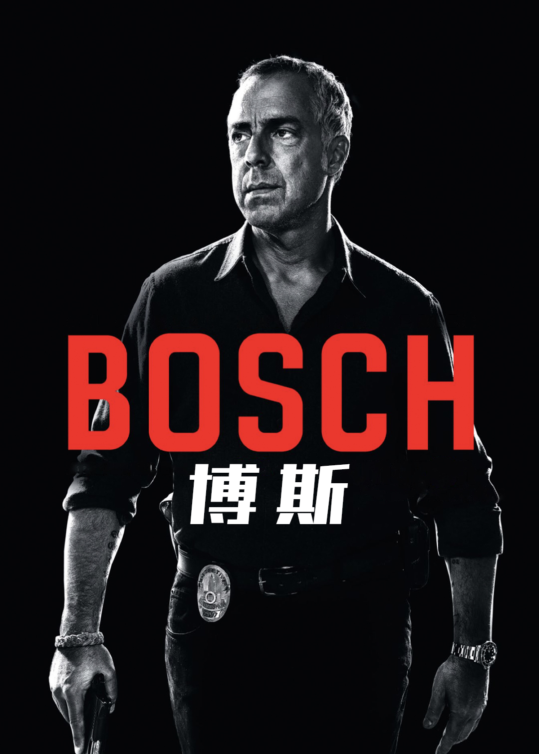 博斯封面图