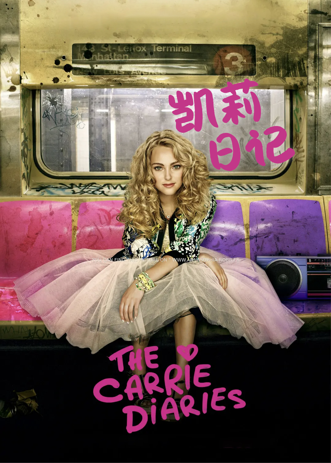 凯莉日记封面图