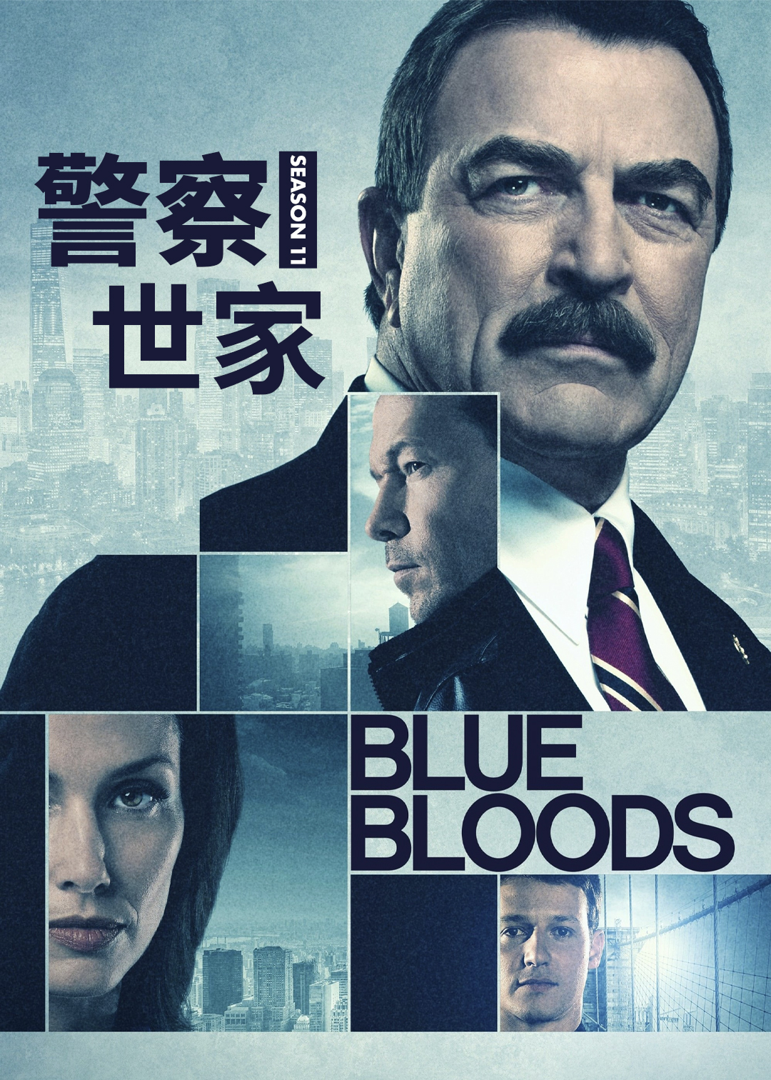 警察世家 第十一季封面图