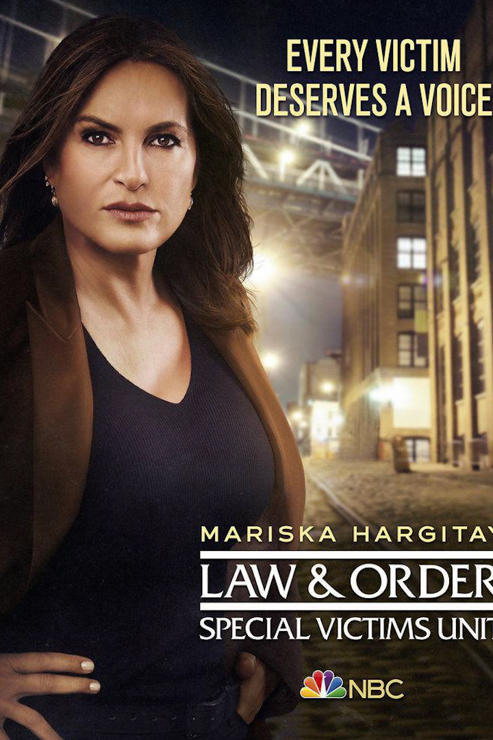 法律与秩序：特殊受害者第二十二季封面图