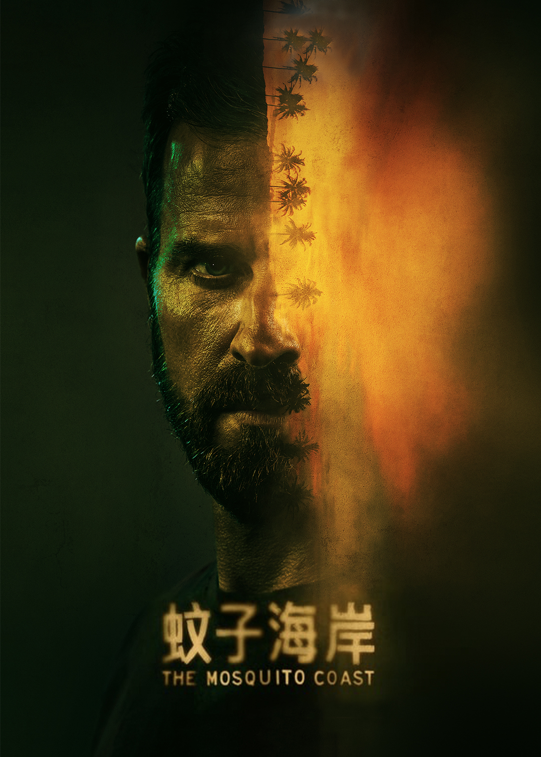 蚊子海岸封面图