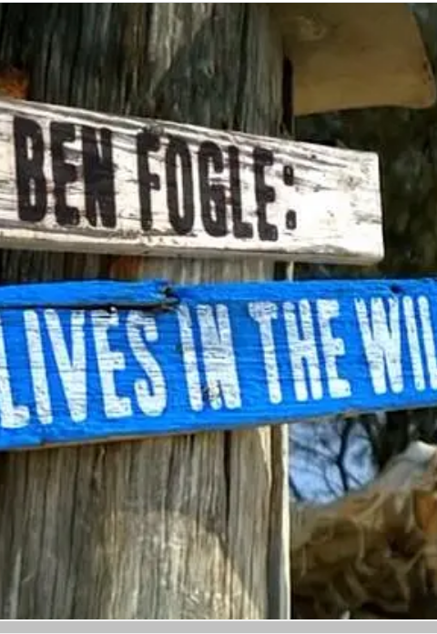 荒野新生封面图