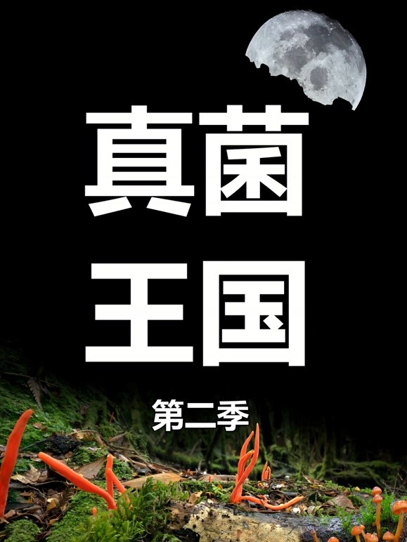 真菌王国第二季封面图