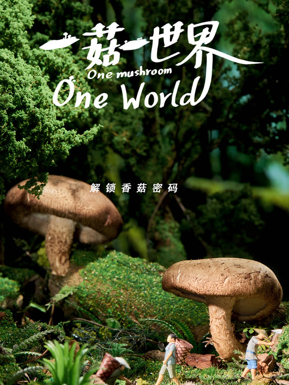 一菇一世界封面图