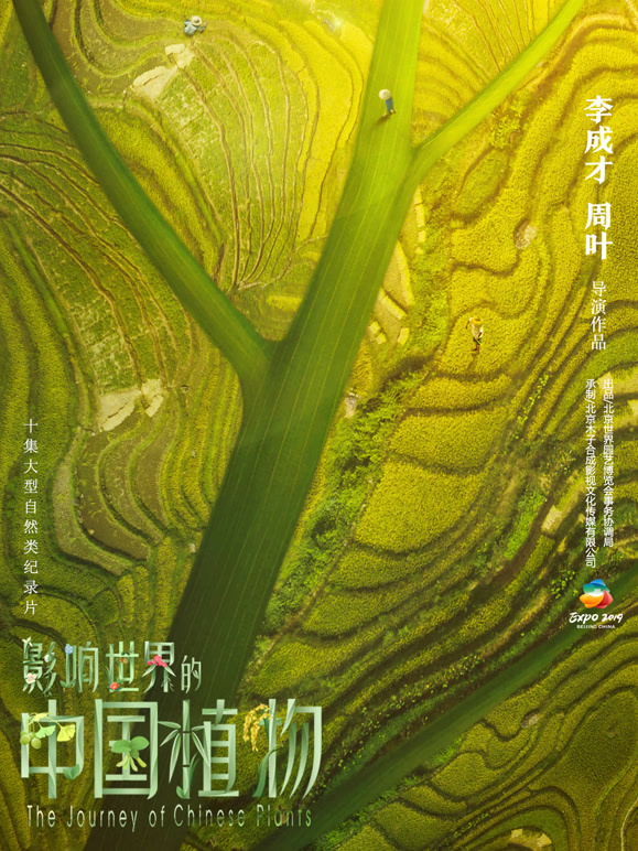 影响世界的中国植物封面图