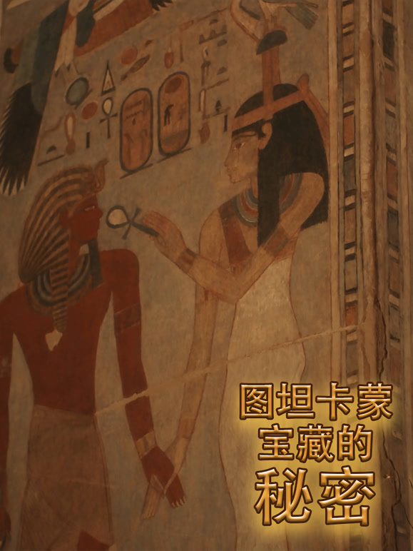 图坦卡蒙宝藏的秘密封面图