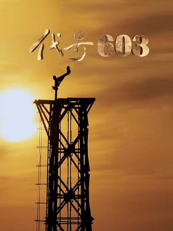 代号603封面图