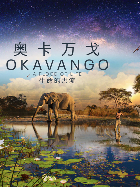 奥卡万戈生命的洪流封面图