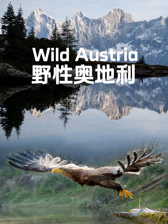 野性奥地利封面图