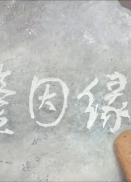 鉴因缘封面图