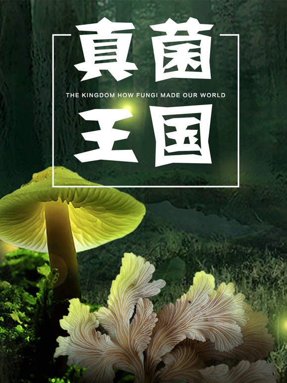 真菌王国封面图