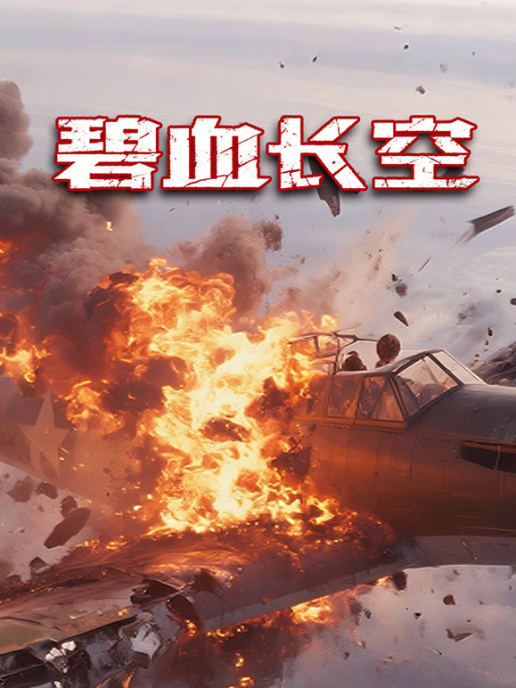 碧血长空封面图