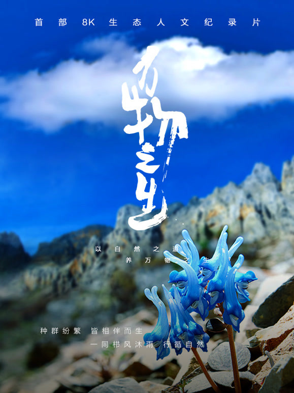 万物之生封面图