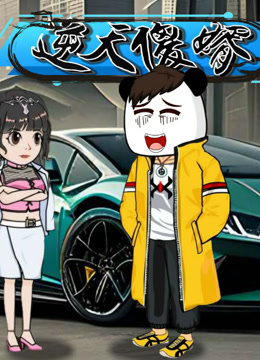 逆天傻婿封面图