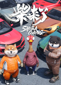 柴来了封面图