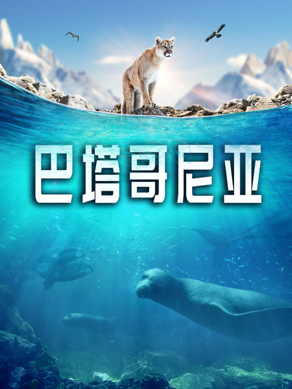 巴塔哥尼亚封面图