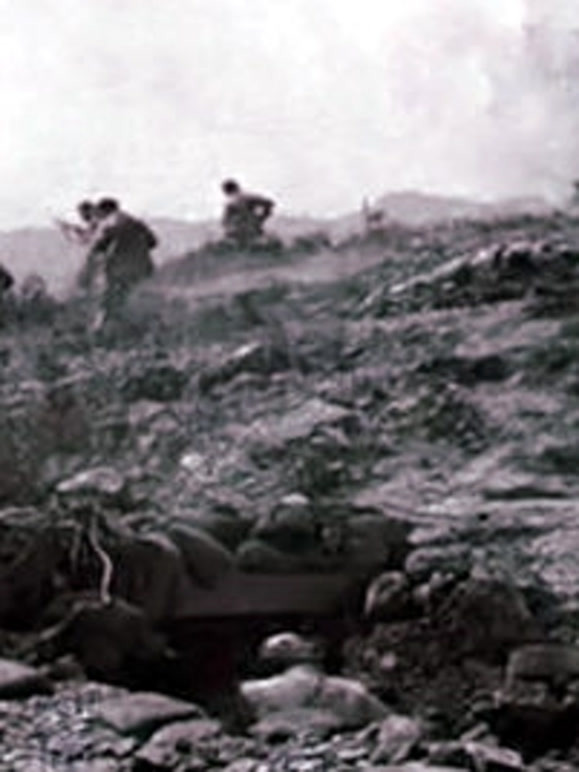 铁血军魂封面图