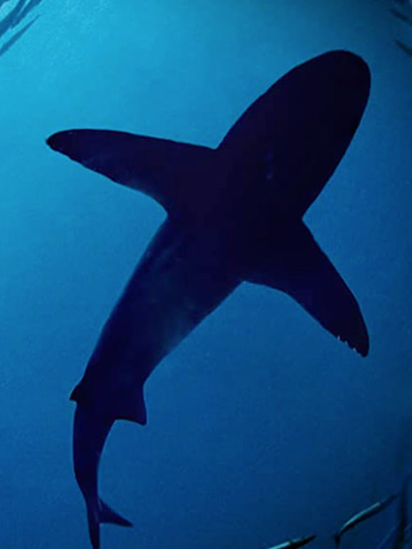 狂野太平洋封面图