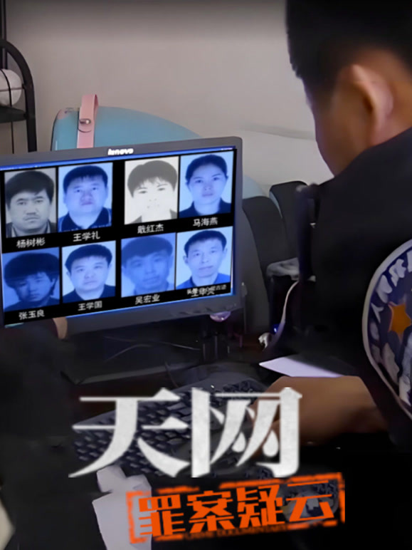 天网罪案疑云封面图