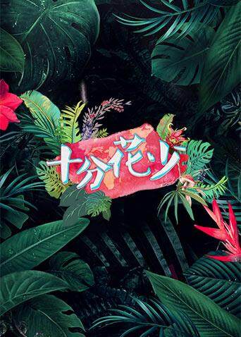 十分花少封面图