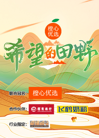 希望的田野封面图
