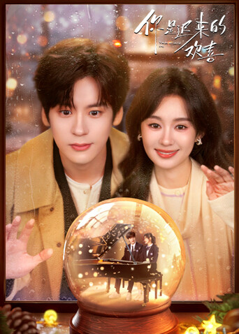 你是迟来的欢喜封面图