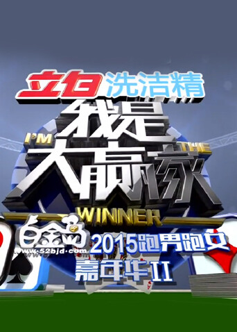 我是大赢家 2015封面图
