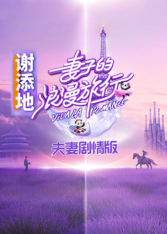 妻子的浪漫旅行 夫妇剧情版封面图