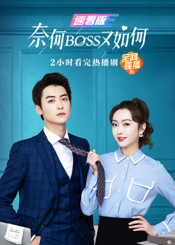 奈何BOSS又如何速看版封面图