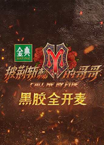 披荆斩棘的哥哥 黑胶全开麦封面图