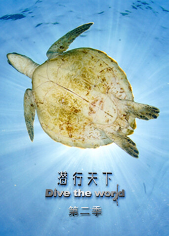 潜行天下 第二季