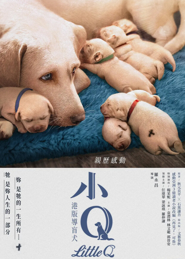 小Q 粤语封面图