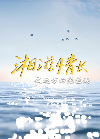 湘滋情长之远方的琵琶湖封面图